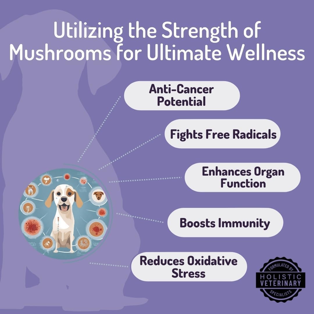 Dog Chews with Mushroom Immune Supplement for Vitality and Gut Health - No Animal Protein Formula