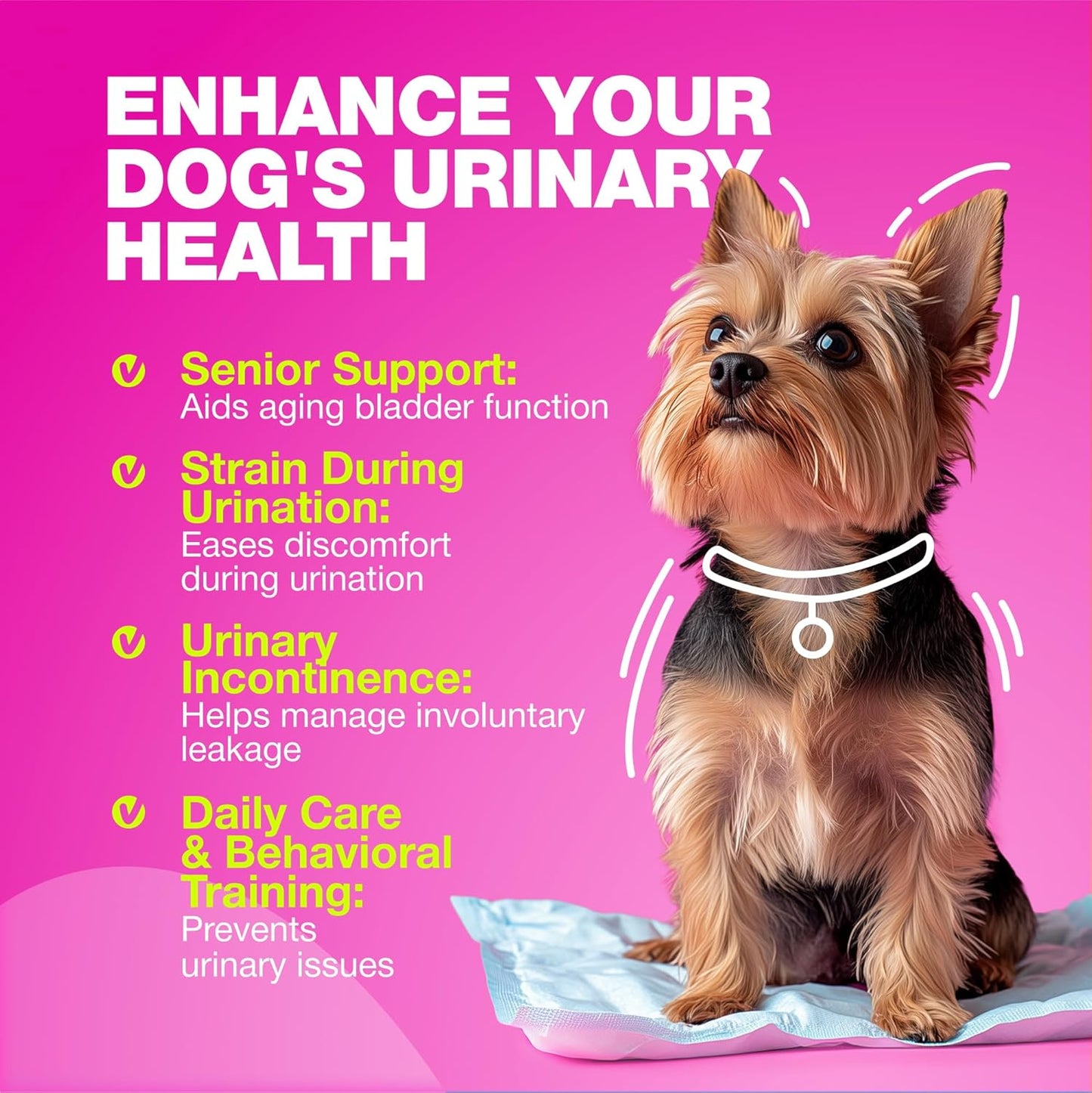 Dog Cranberry Supplement for UTI Treatment, Bladder & Kidney Health - Urinary Tract Support Chews for Dogs with Incontinence