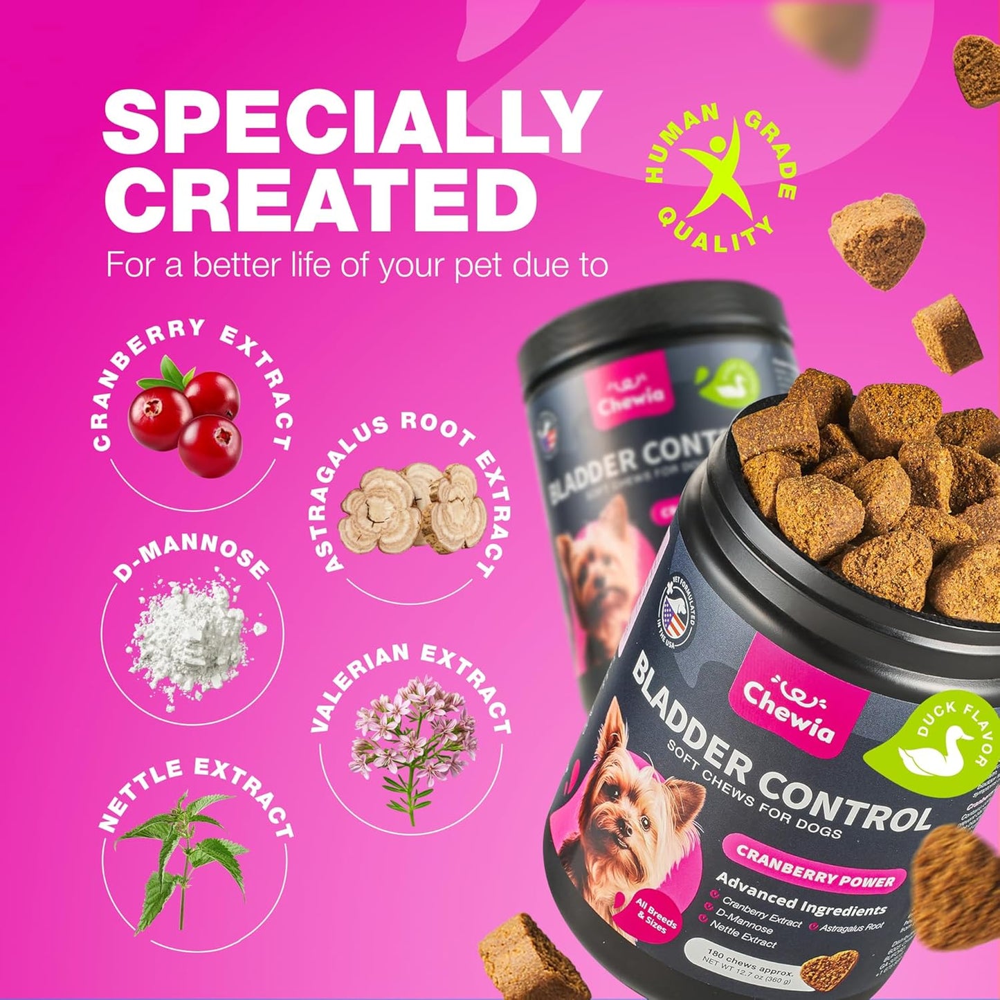 Dog Cranberry Supplement for UTI Treatment, Bladder & Kidney Health - Urinary Tract Support Chews for Dogs with Incontinence