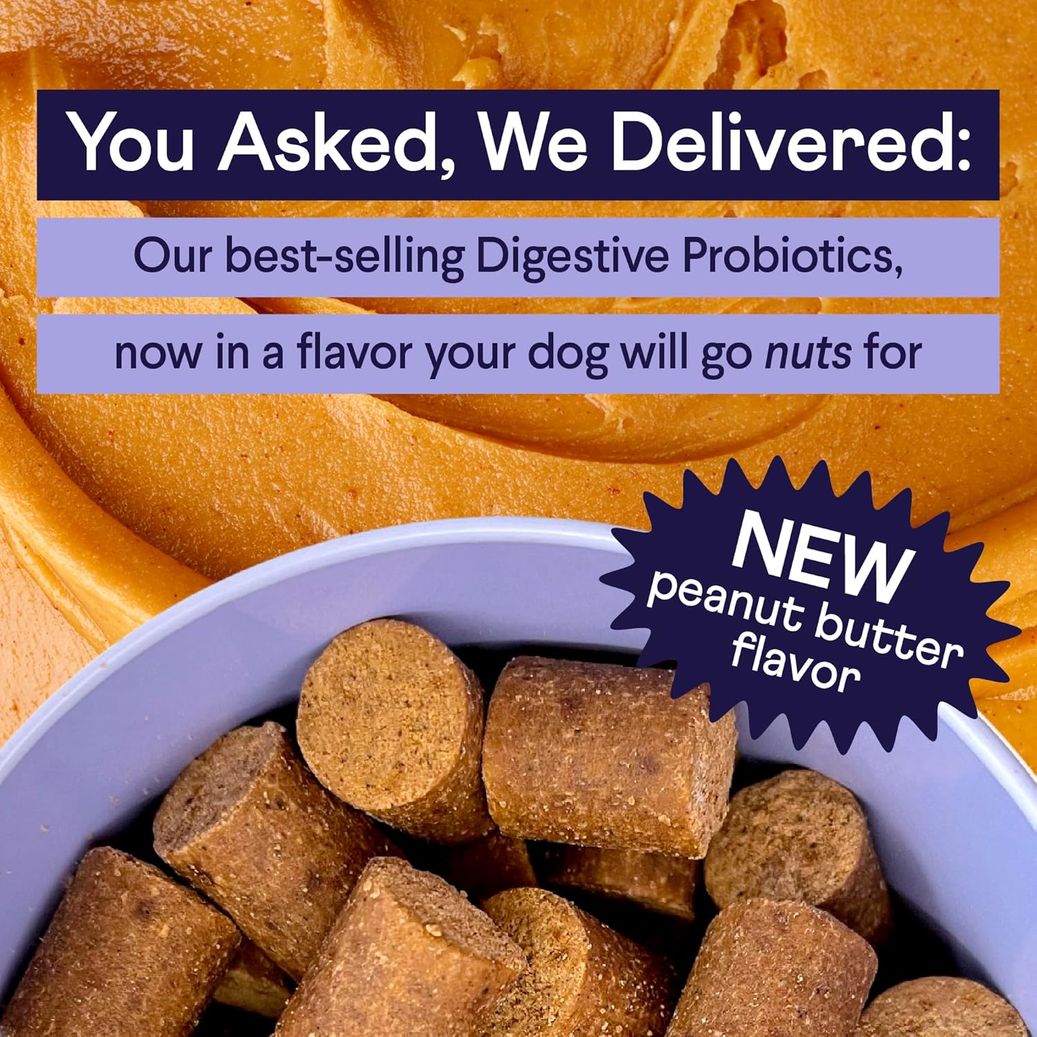 Dog Digestive Probiotics with Pumpkin & Prebiotics - Vet Recommended, Made in USA - 90 Soft Chews