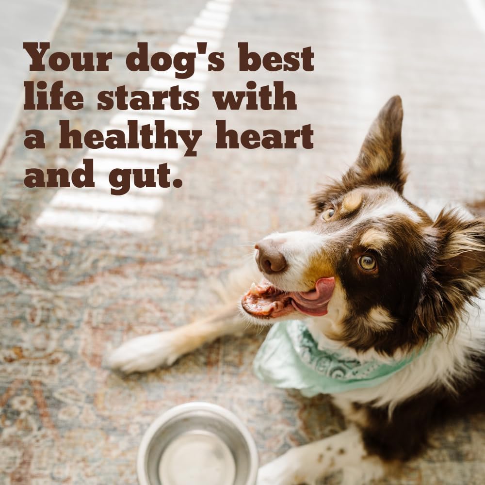 Dog Fiber Supplement for Heart, Gut, Coat & Joint Health - Made in USA, 2 Natural Ingredients (2 Pack)