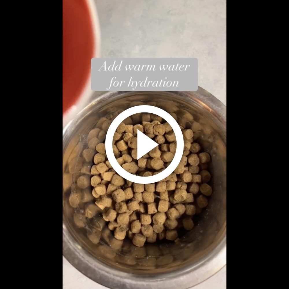 Dog Fiber Supplement for Heart, Gut, Coat & Joint Health - Made in USA, 2 Natural Ingredients (2 Pack)