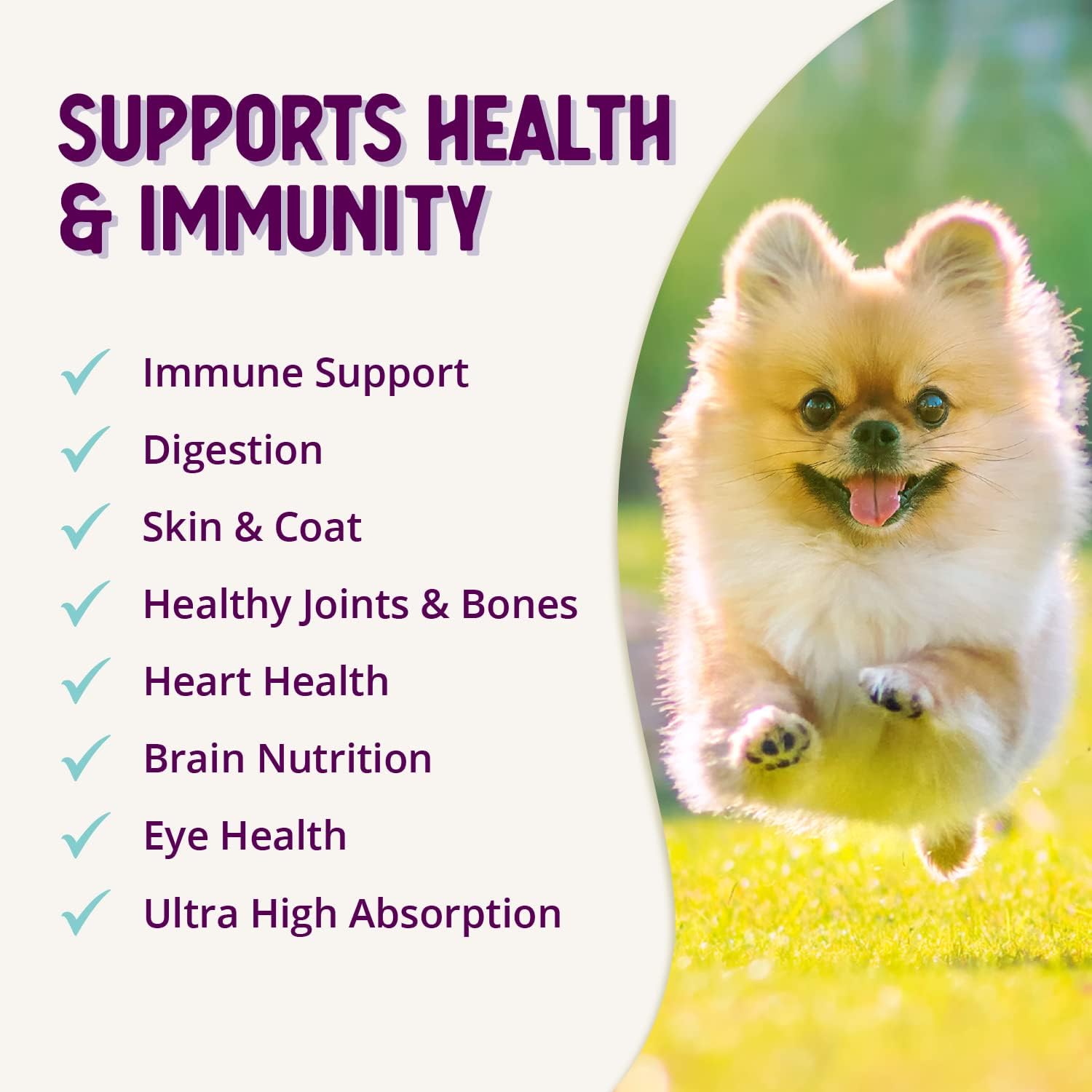 Dog Health Extension Advanced Immunity Supplement - Boost Immune System with Natural Antioxidants and Vitamins, 9 fl oz