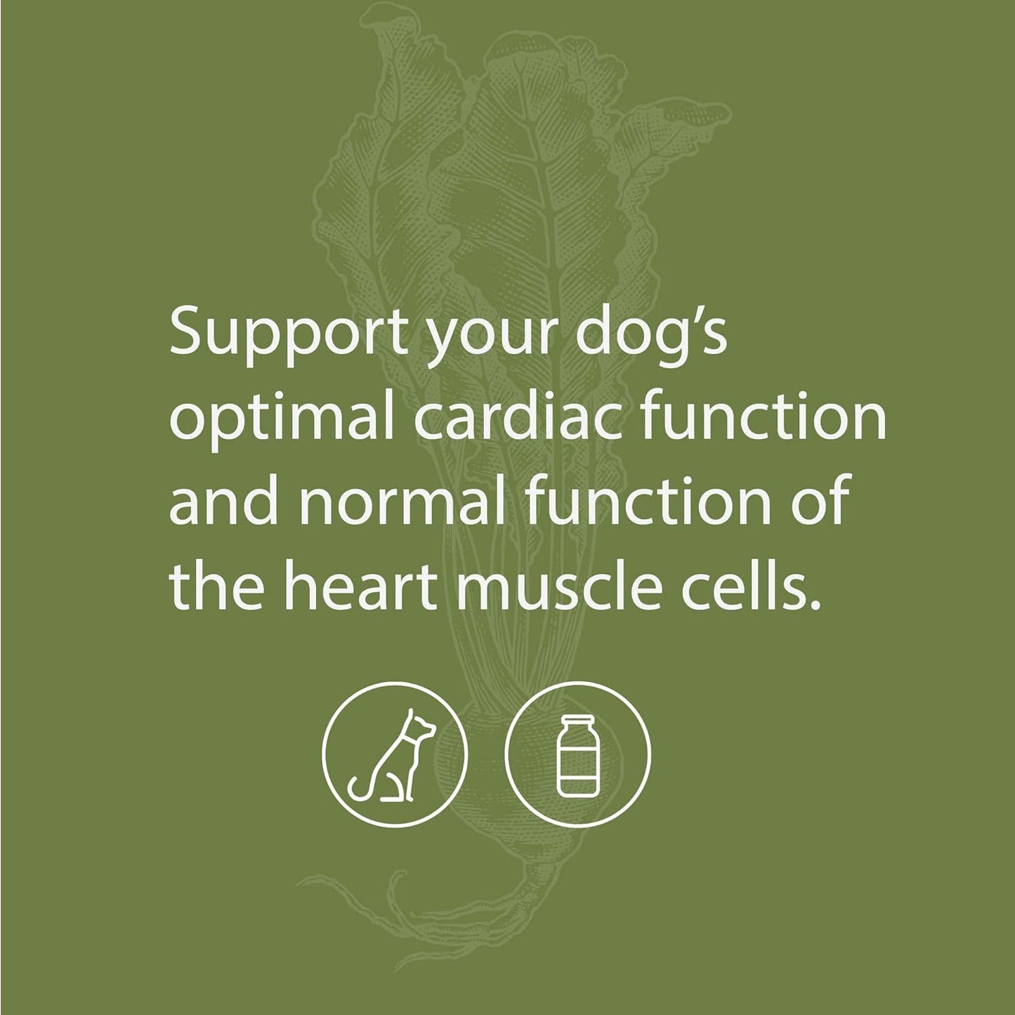 Dog Heart Health Supplement with Selenium - Nutritional Formula for Cardiac Function - Pet Health Support - 25 g