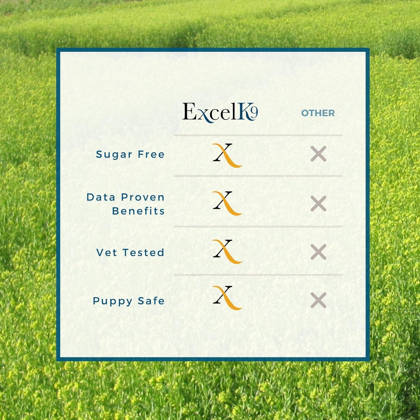 Dog Joint Mobility and Skin Health Supplement - Excel Supplements for Canines