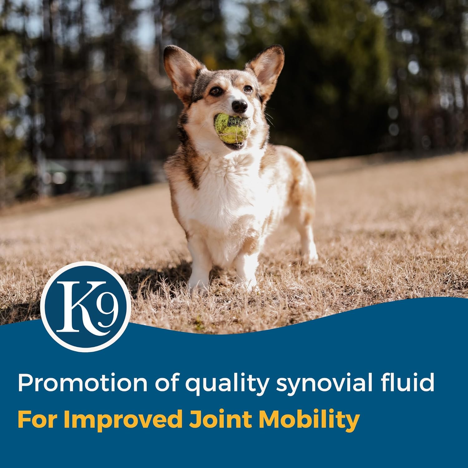 Dog Joint Mobility and Skin Health Supplement - Excel Supplements for Canines