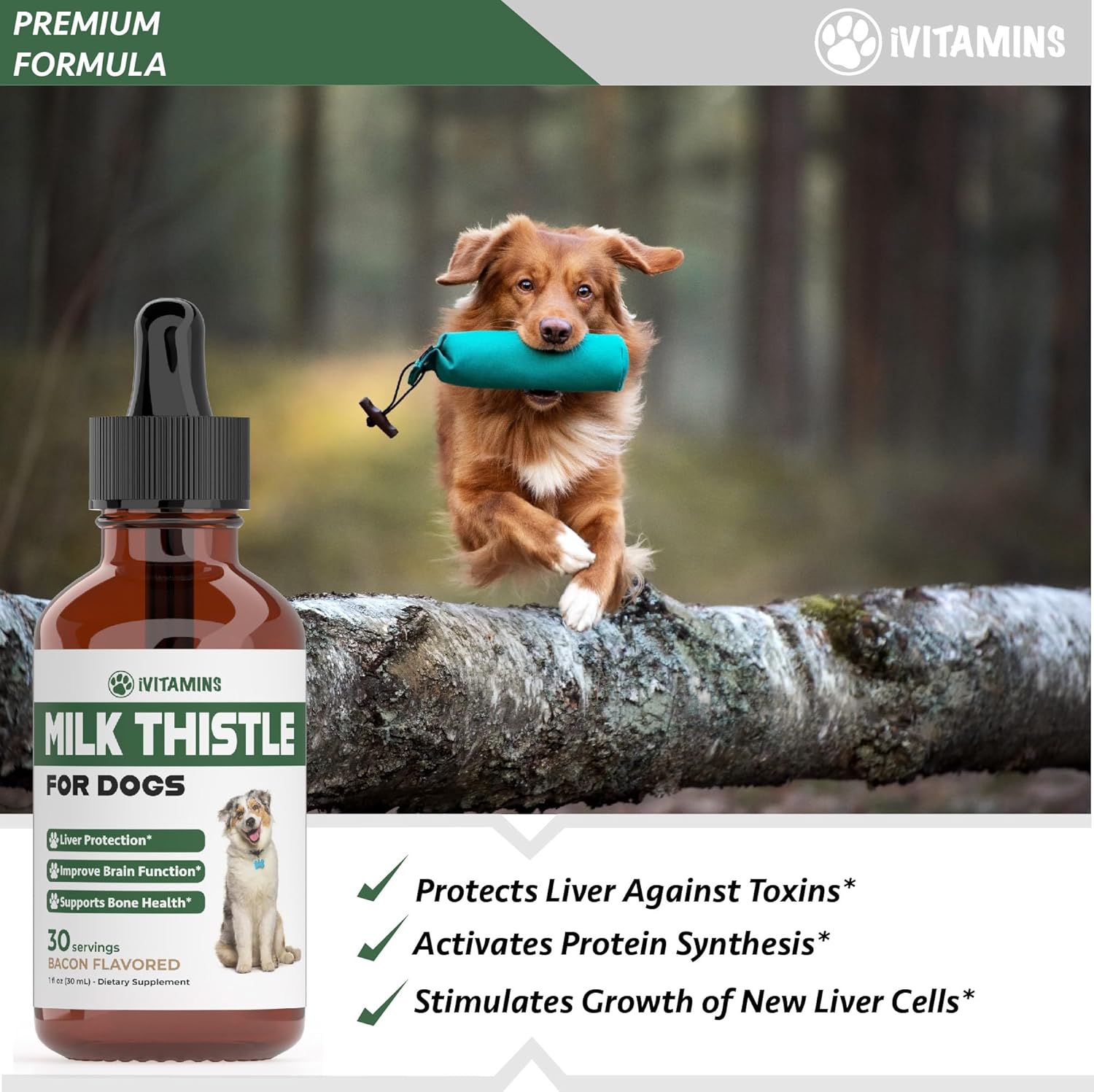 Dog Liver and Kidney Health Support with iVitamins Milk Thistle Supplement - 1 oz