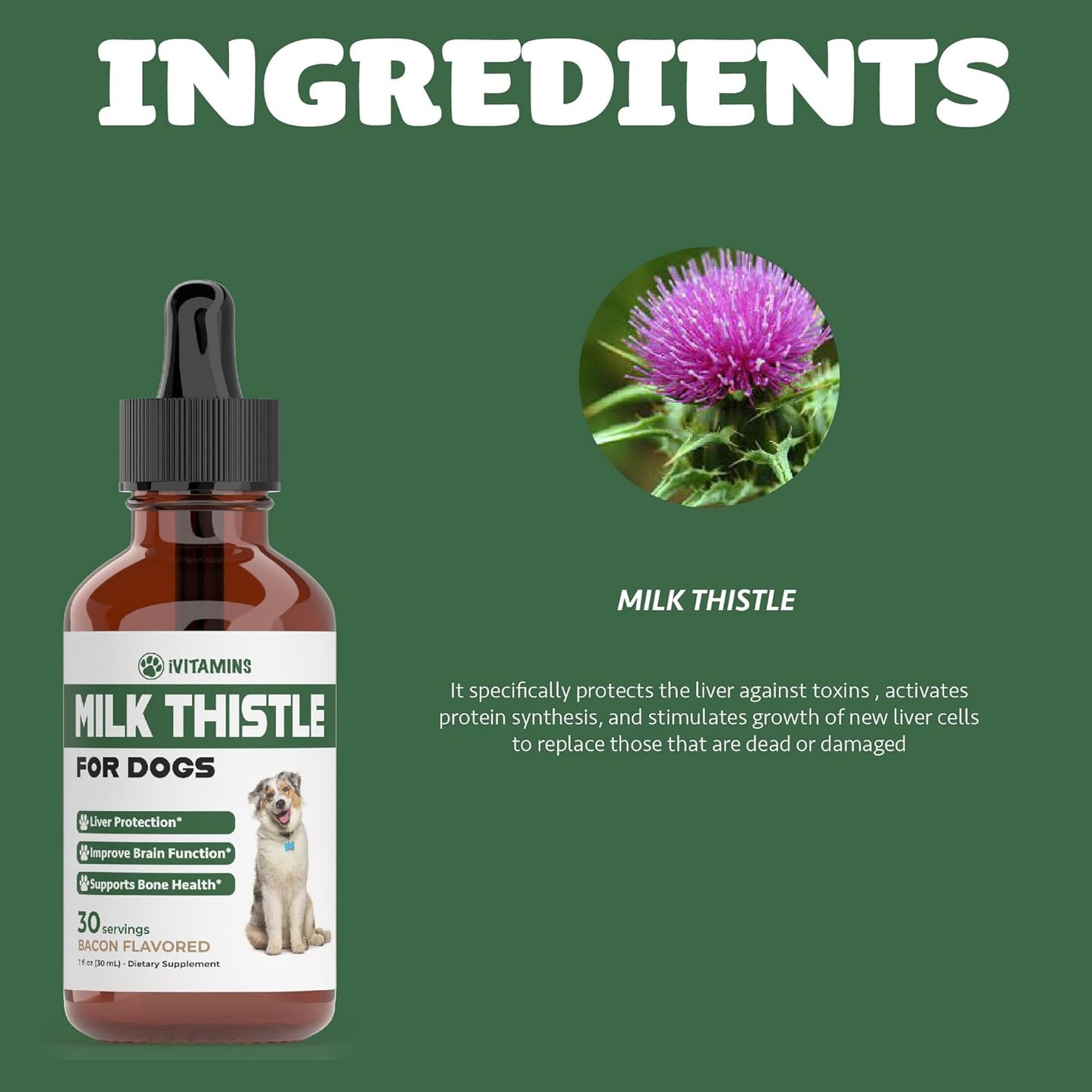 Dog Liver and Kidney Health Support with iVitamins Milk Thistle Supplement - 1 oz