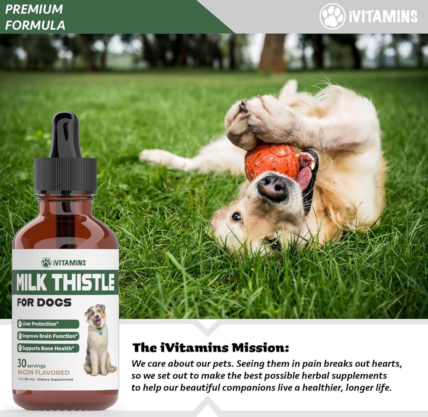Dog Liver and Kidney Health Support with iVitamins Milk Thistle Supplement - 1 oz
