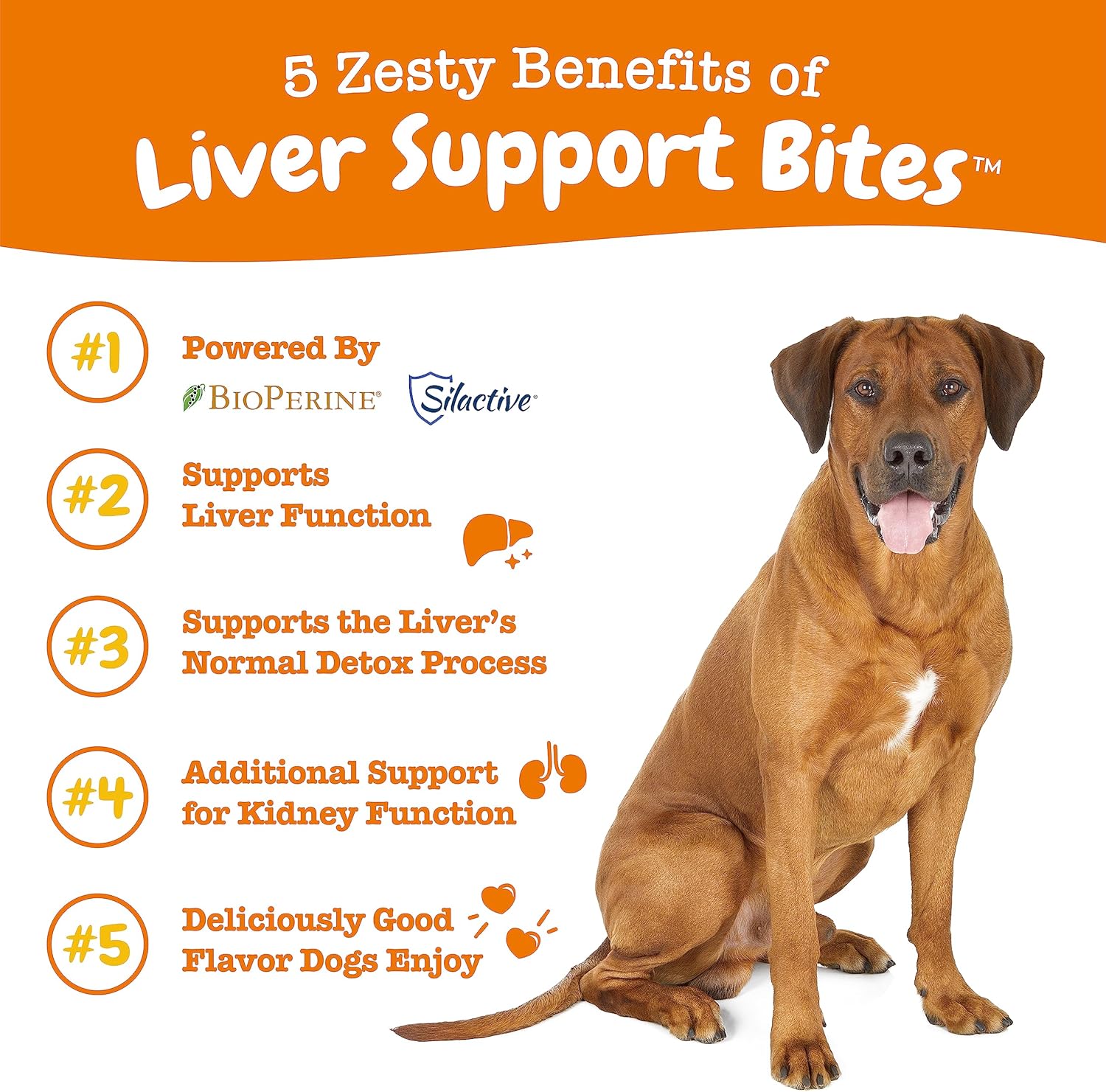 Dog Liver Support Supplement with Milk Thistle & Turmeric - Soft Chew Formula for Liver Function in Dogs