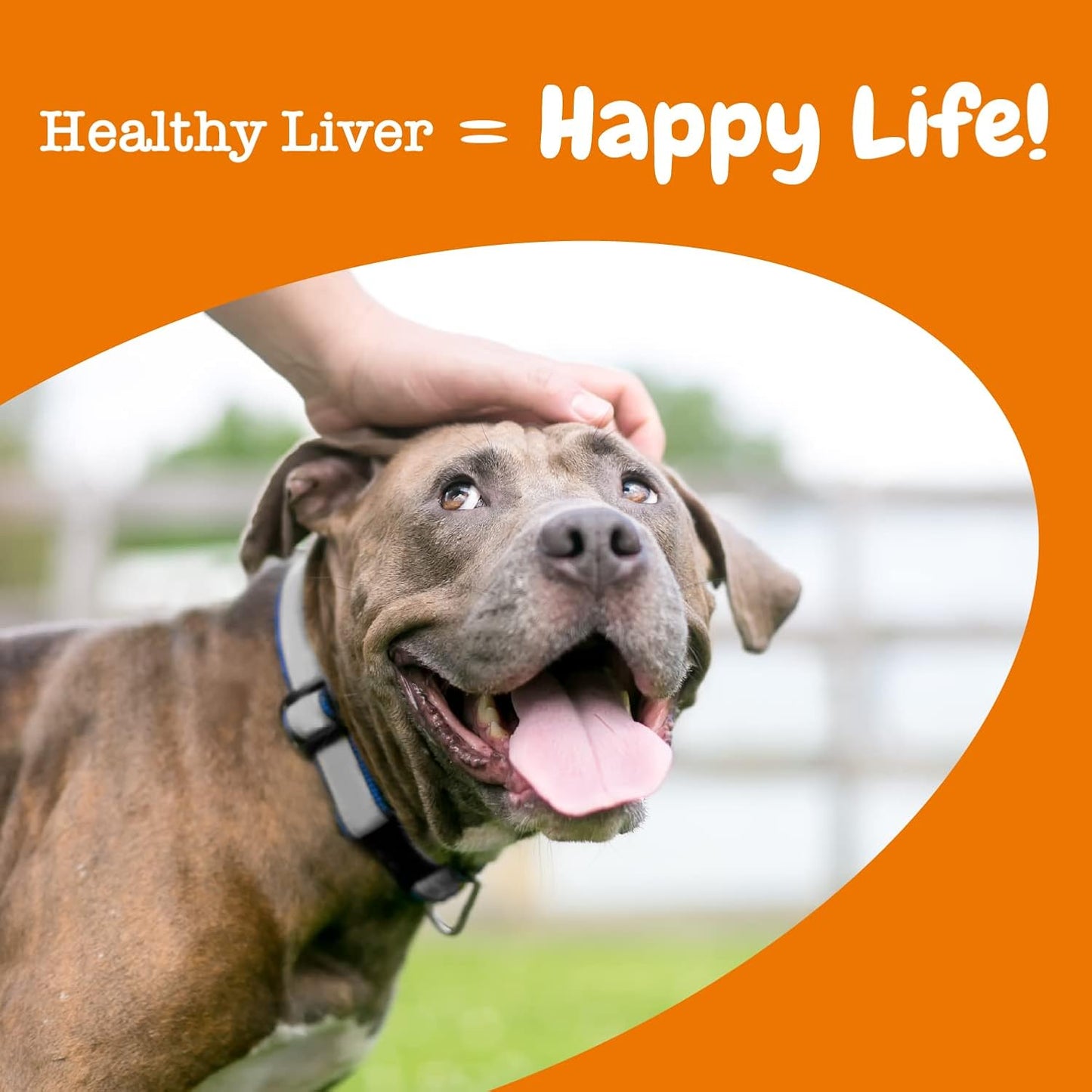 Dog Liver Support Supplement with Milk Thistle & Turmeric - Soft Chew Formula for Liver Function in Dogs