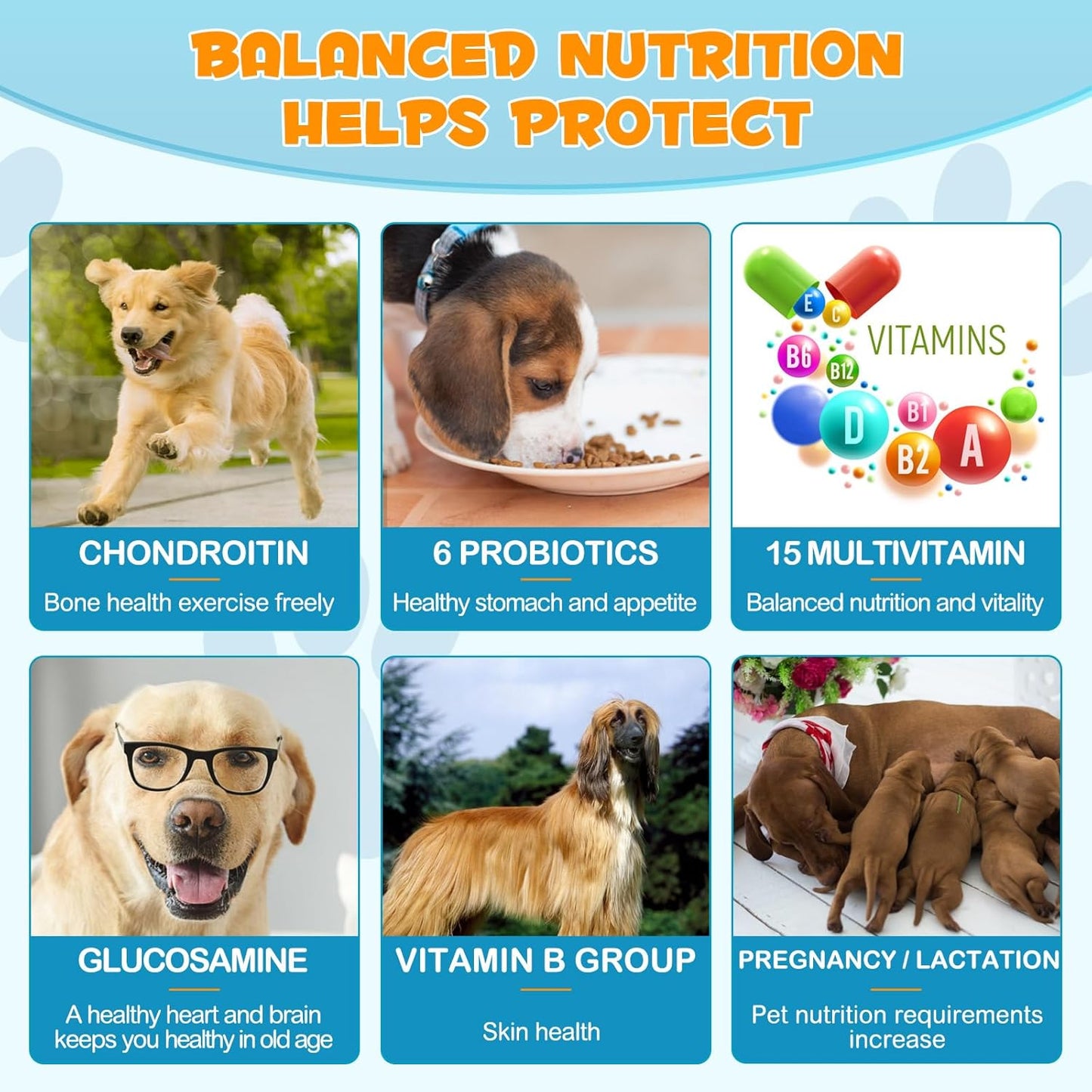 Dog Multivitamin Chewable with Glucosamine - 15-in-1 Health Support for Dogs of All Ages and Breeds - 120 Soft Chews Duck Flavor