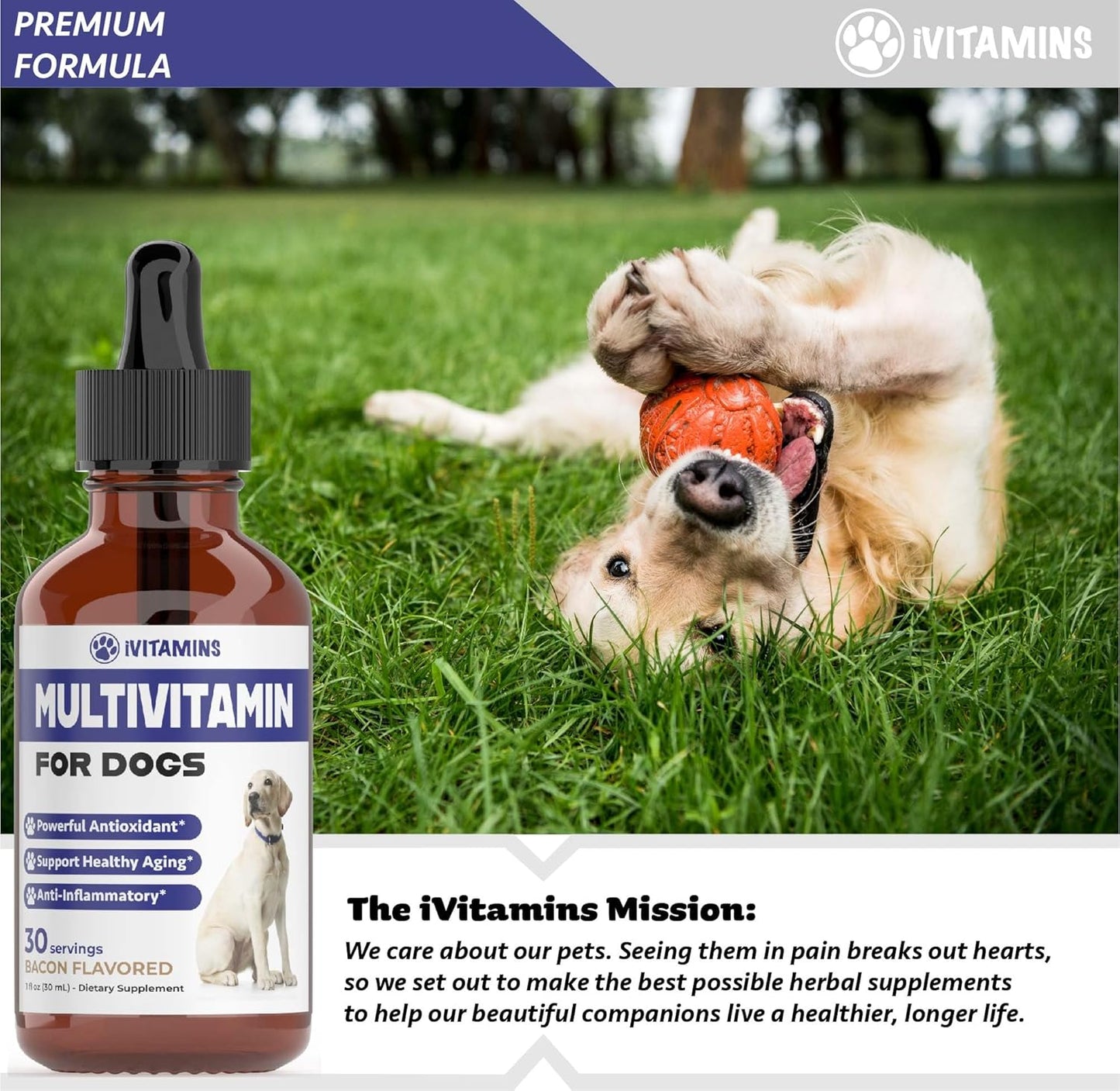 Dog Multivitamin Liquid Supplement for Joint, Gut, Immune, Skin, and Heart Health - 1 fl oz