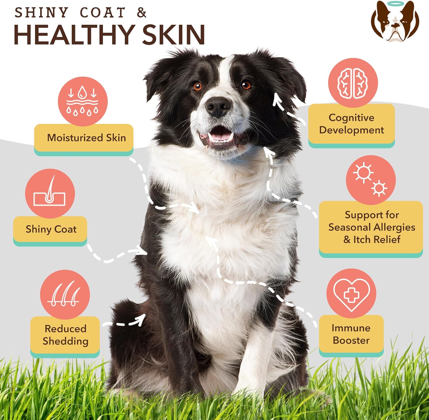 Dog Multivitamin & Skin/Coat Supplement Chews - Complete Nutritional Care for Healthy Skin, Shiny Coat, Joint Support, and Immune System Boost
