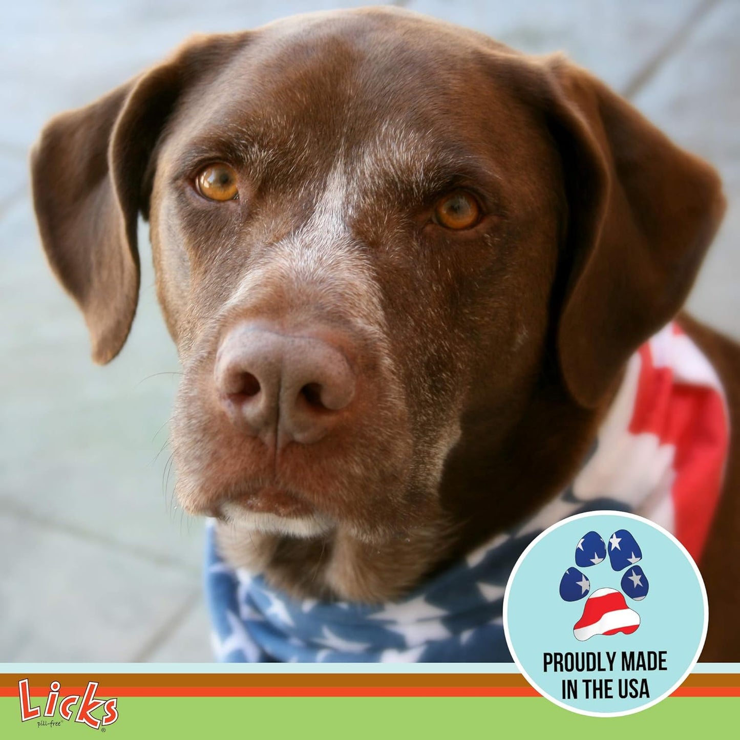 Dog Multivitamin Supplement with Vitamin C, D, Calcium - 30 Gel Packets - Pill-Free Pet Supplies