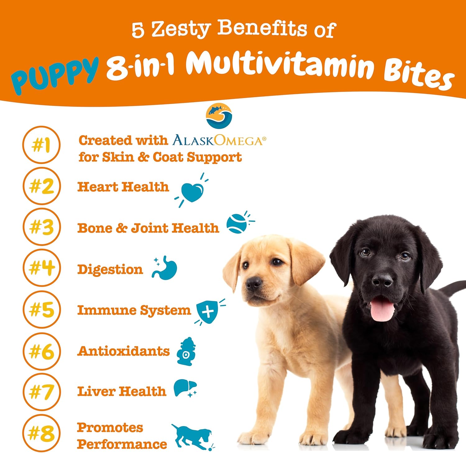 Dog Multivitamin Treats with Glucosamine Chondroitin, Digestive Enzymes, Probiotics - Grain Free Skin & Coat Health - Immune Support - 90 Count