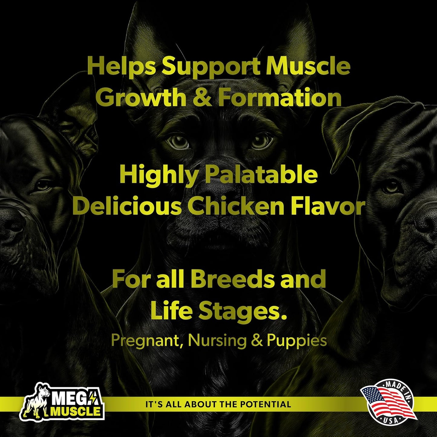 Dog Muscle Gain Chewable Tablets | 2-in-1 Daily Booster & Multivitamin | For All Life Stages | Puppy & Adult Dog Supplement | Chicken Flavor | 60 Tablets