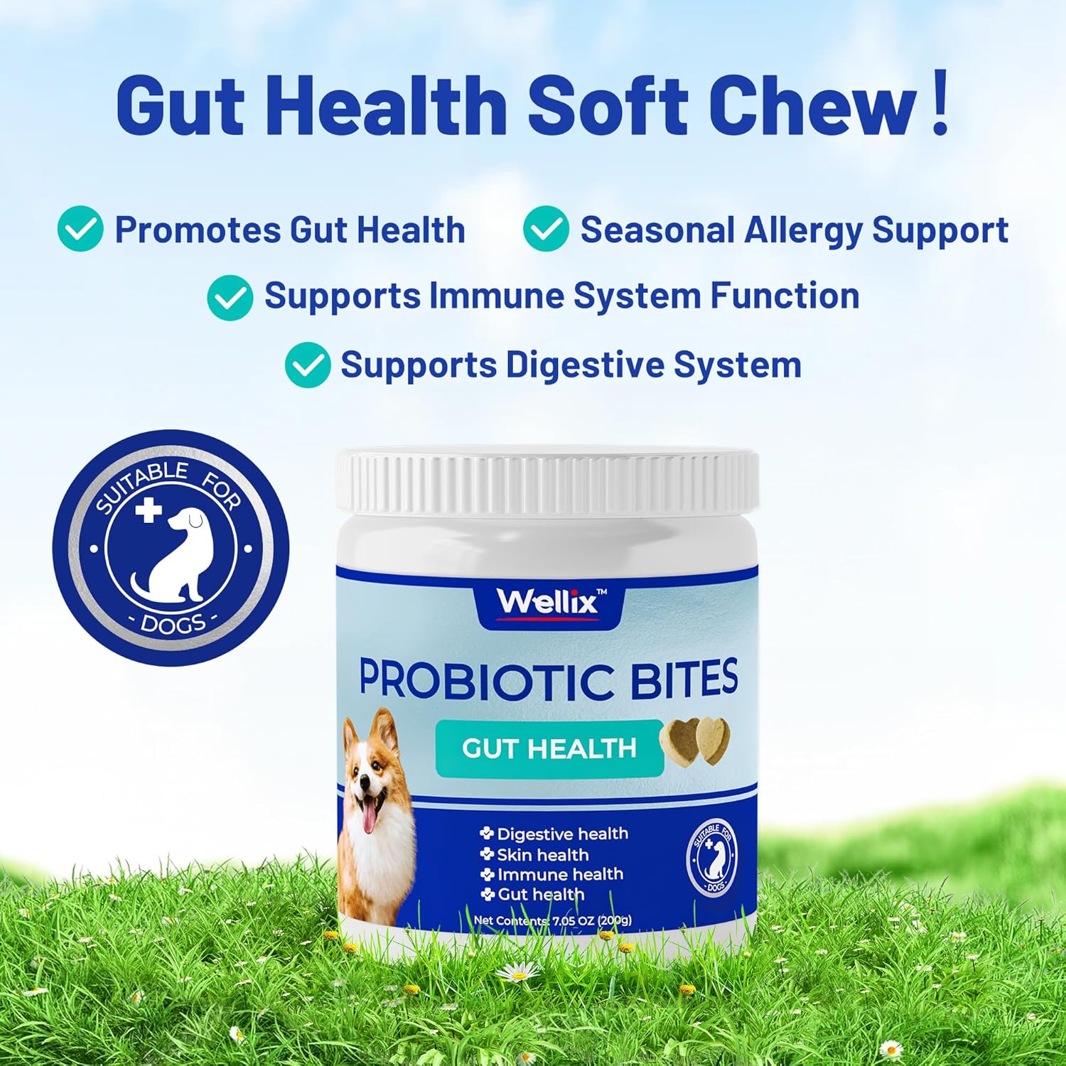 Dog Probiotic Chews - Wellix Probiotics for Dogs, Supports Digestive Health, Allergies, Diarrhea, Upset Stomach & Gas Relief