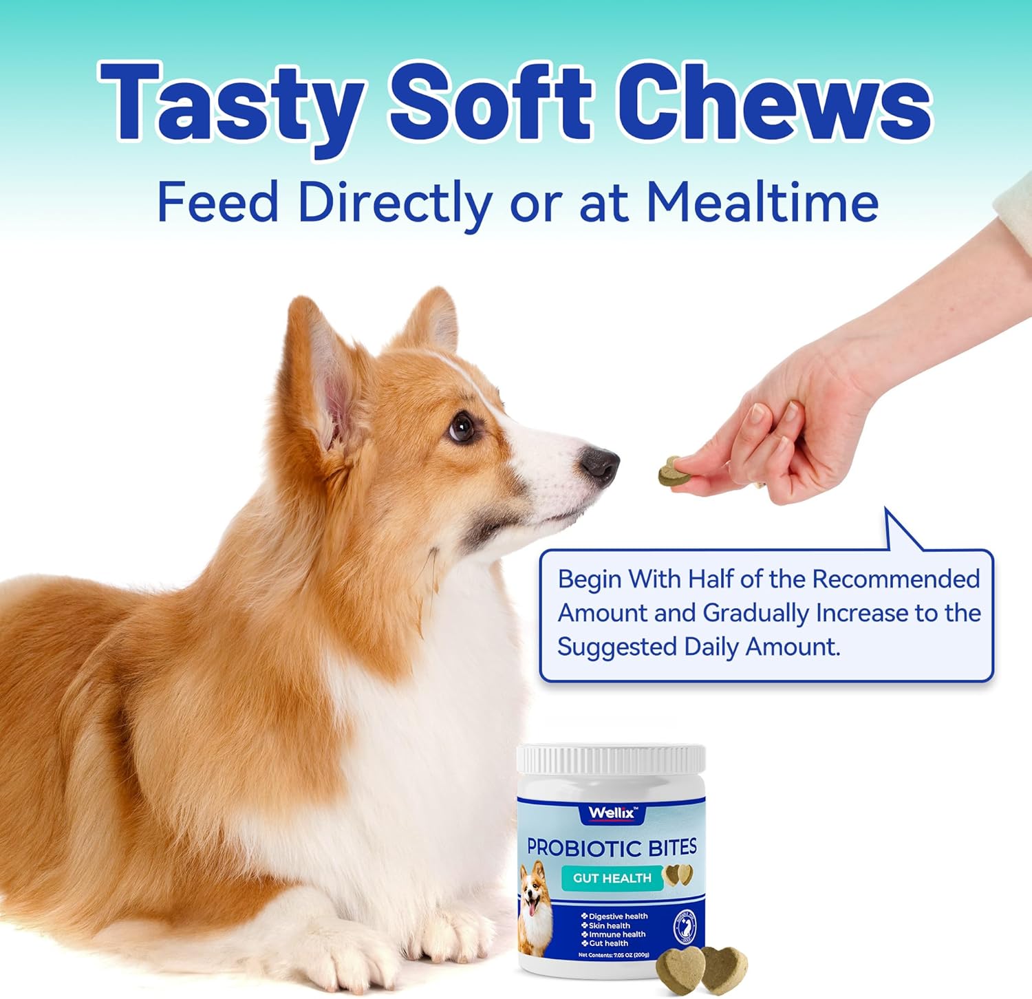 Dog Probiotic Chews - Wellix Probiotics for Dogs, Supports Digestive Health, Allergies, Diarrhea, Upset Stomach & Gas Relief