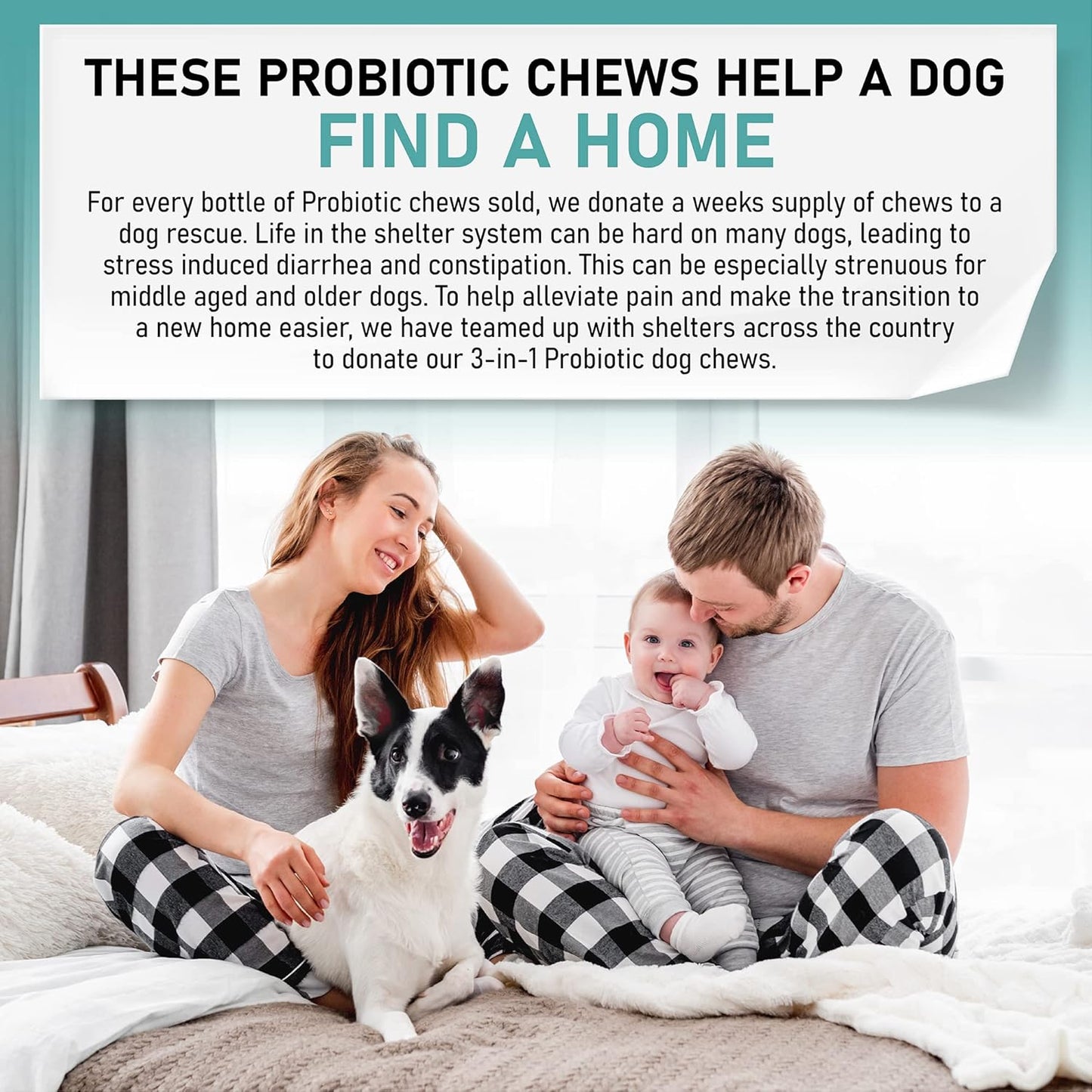 Dog Probiotic Chews for Digestive Health - 120 Soft Chews for Dogs