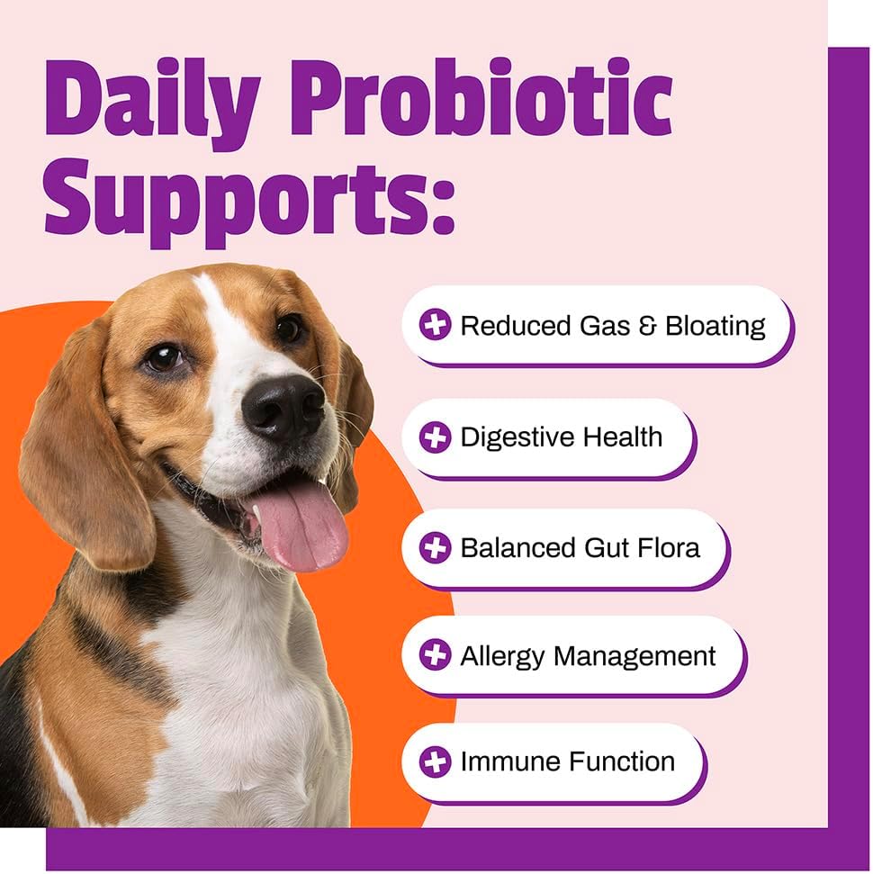 Dog Probiotic Chews with 120M CFUs - Supports Digestive & Gut Health, Immune System, Allergies, Itching - Duck Flavored, 60 Count