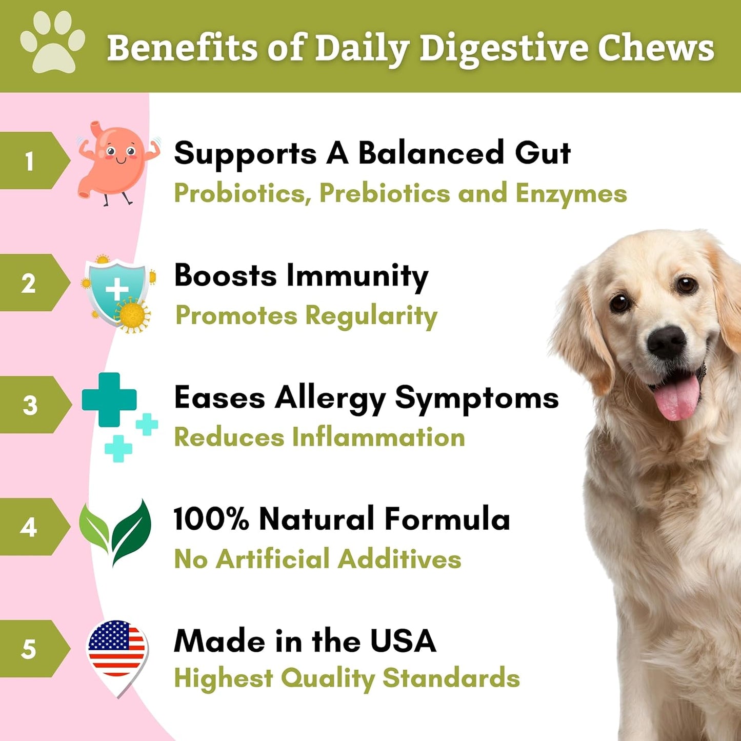 Dog Probiotic Chews with Digestive Enzymes - 240 Count for Gut Health & Immune Support