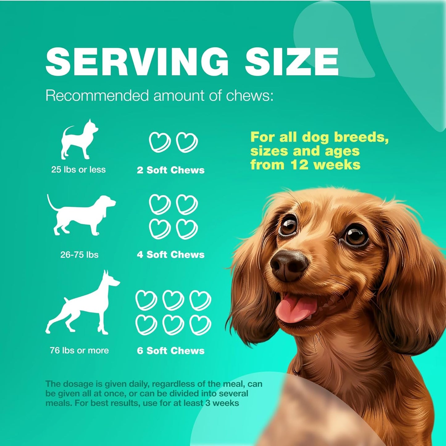 Dog Probiotic Chews with Digestive Enzymes for Gut Health, Immunity, and Skin Support - Soft Treats with Pumpkin and Yeast Powder for Dogs