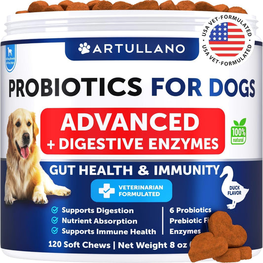 Dog Probiotic Chews with Prebiotics - Improve Gut Health, Skin, Allergies, Immunity - Digestive Enzymes for Dogs - Reduce Gas, Diarrhea - 120 Probiotics