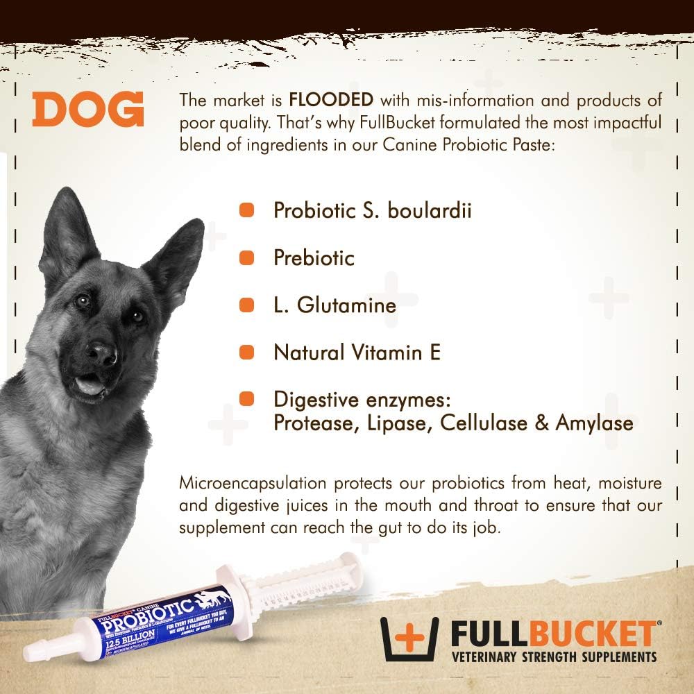 Dog Probiotic Paste with 12.5 Billion CFUs, Enzymes, Prebiotics, L-Glutamine - 32.5 mL Tube for Urgent Care