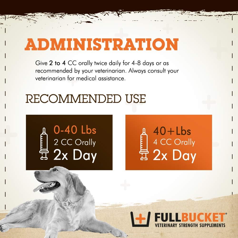 Dog Probiotic Paste with 12.5 Billion CFUs, Enzymes, Prebiotics, L-Glutamine - 32.5 mL Tube for Urgent Care