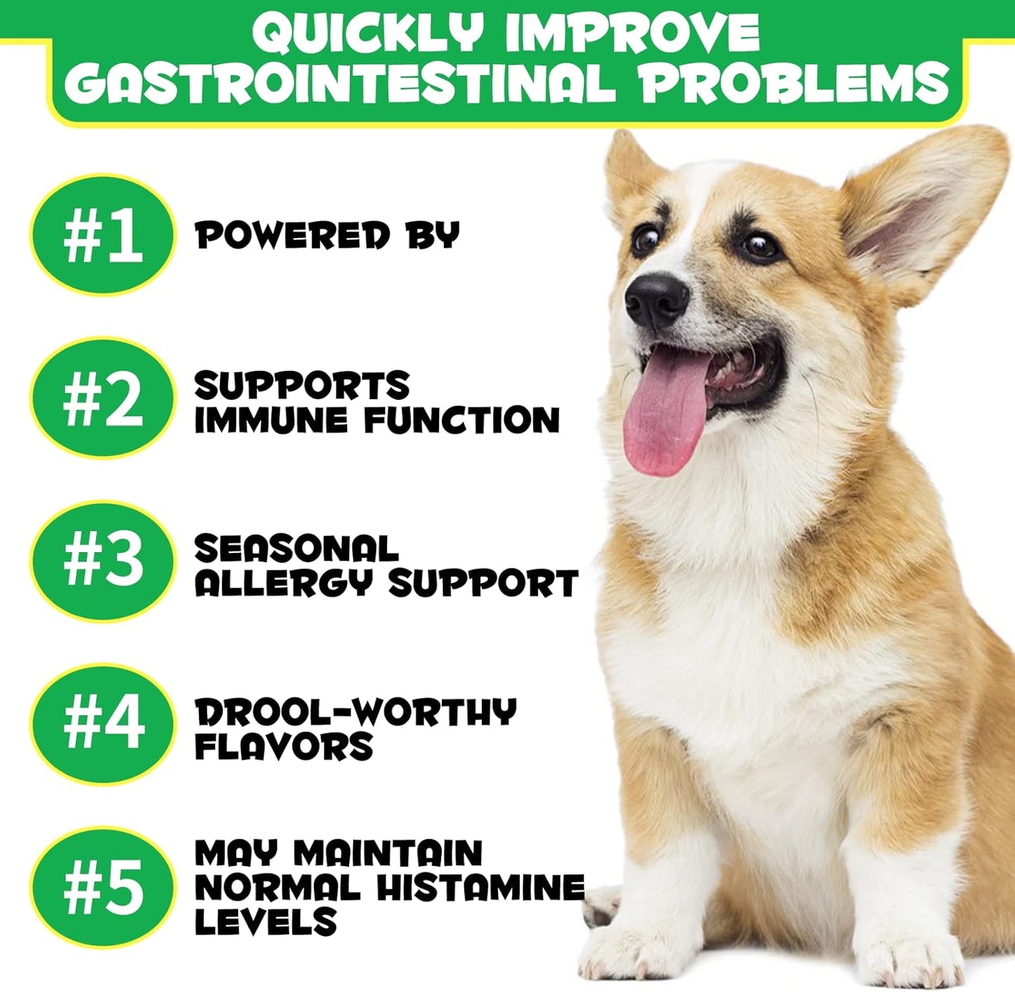 Dog Probiotics Chews with Prebiotics, Digestive Enzymes, Omega-3 & 6, Vitamins - Improve Digestion, Boost Immunity, Reduce Diarrhea & Gas