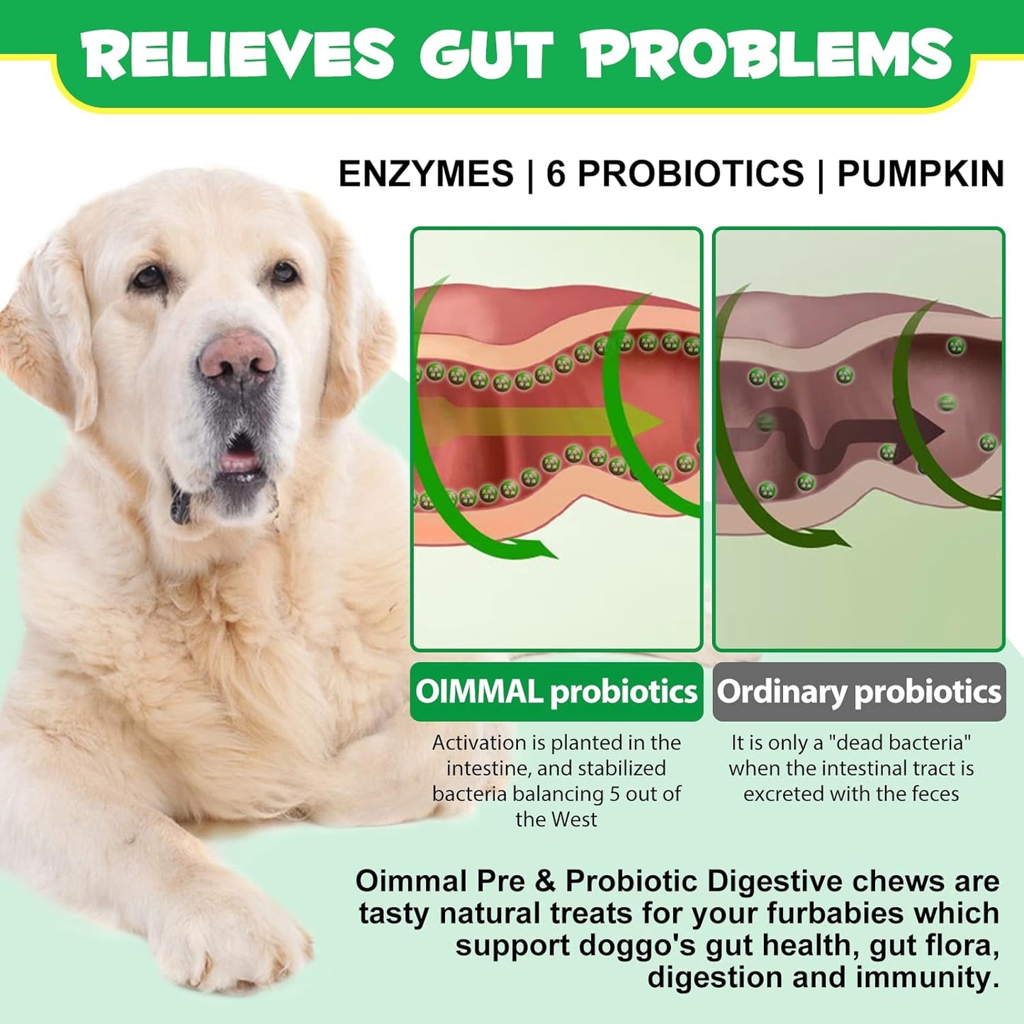 Dog Probiotics Chews with Prebiotics, Digestive Enzymes, Omega-3 & 6, Vitamins - Improve Digestion, Boost Immunity, Reduce Diarrhea & Gas