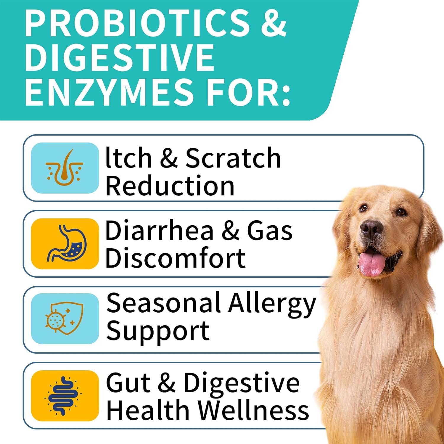Dog Probiotics with Digestive Enzymes for Itchy Skin, Gut Health, Allergies, and Immunity - 180 Steak Chews