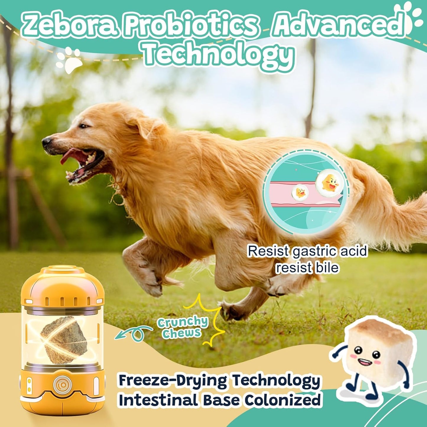 Dog Probiotics with Digestive Enzymes, Prebiotics, Omega-3, 6, Vitamins - 6 Billion CFUs, 120 Chews for Gut Health & Immune Support