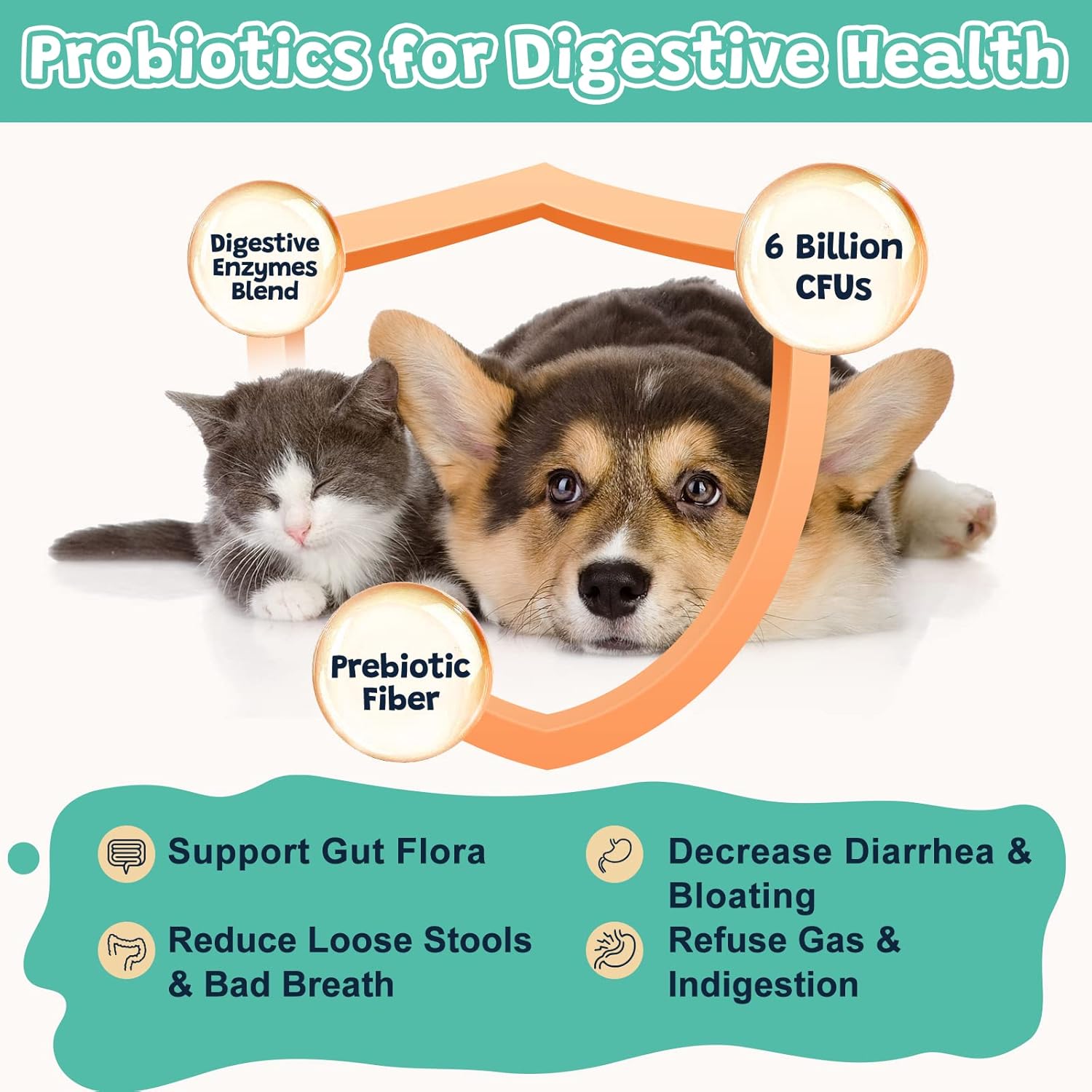 Dog Probiotics with Digestive Enzymes, Prebiotics, Omega-3, 6, Vitamins - 6 Billion CFUs, 120 Chews for Gut Health & Immune Support