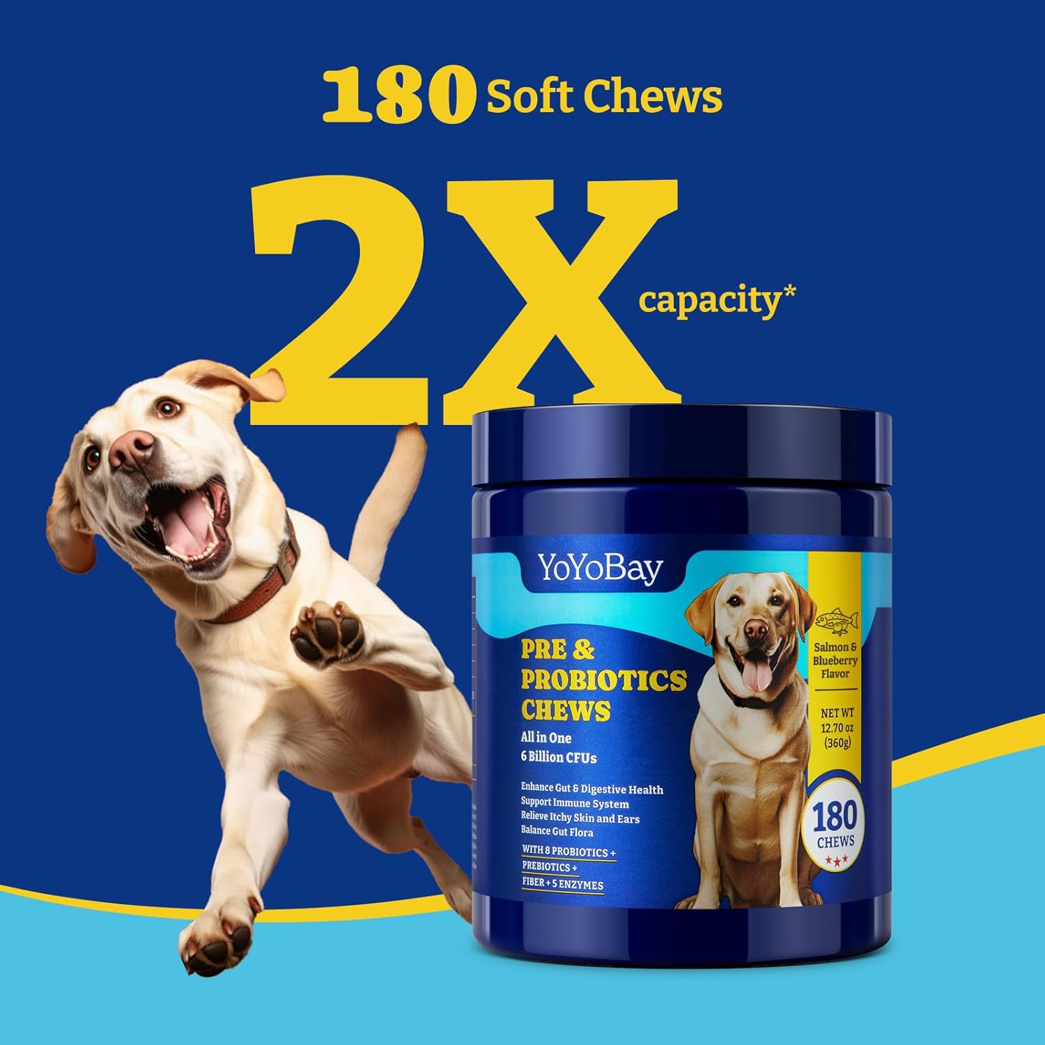Dog Probiotics with Prebiotics & Digestive Enzymes - Salmon & Blueberry Flavor - 6 Billion CFUs - Immune, Gut, Skin Health - 180 Soft Chews