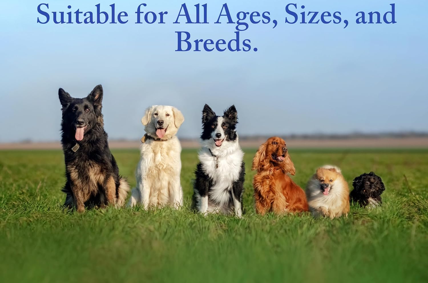 Dog Skin & Coat Supplement Treats with Omega 3,6,9, Salmon Oil, Biotin - Bacon Flavor - 90 Chews - Allergy Relief & Hot Spot Treatment