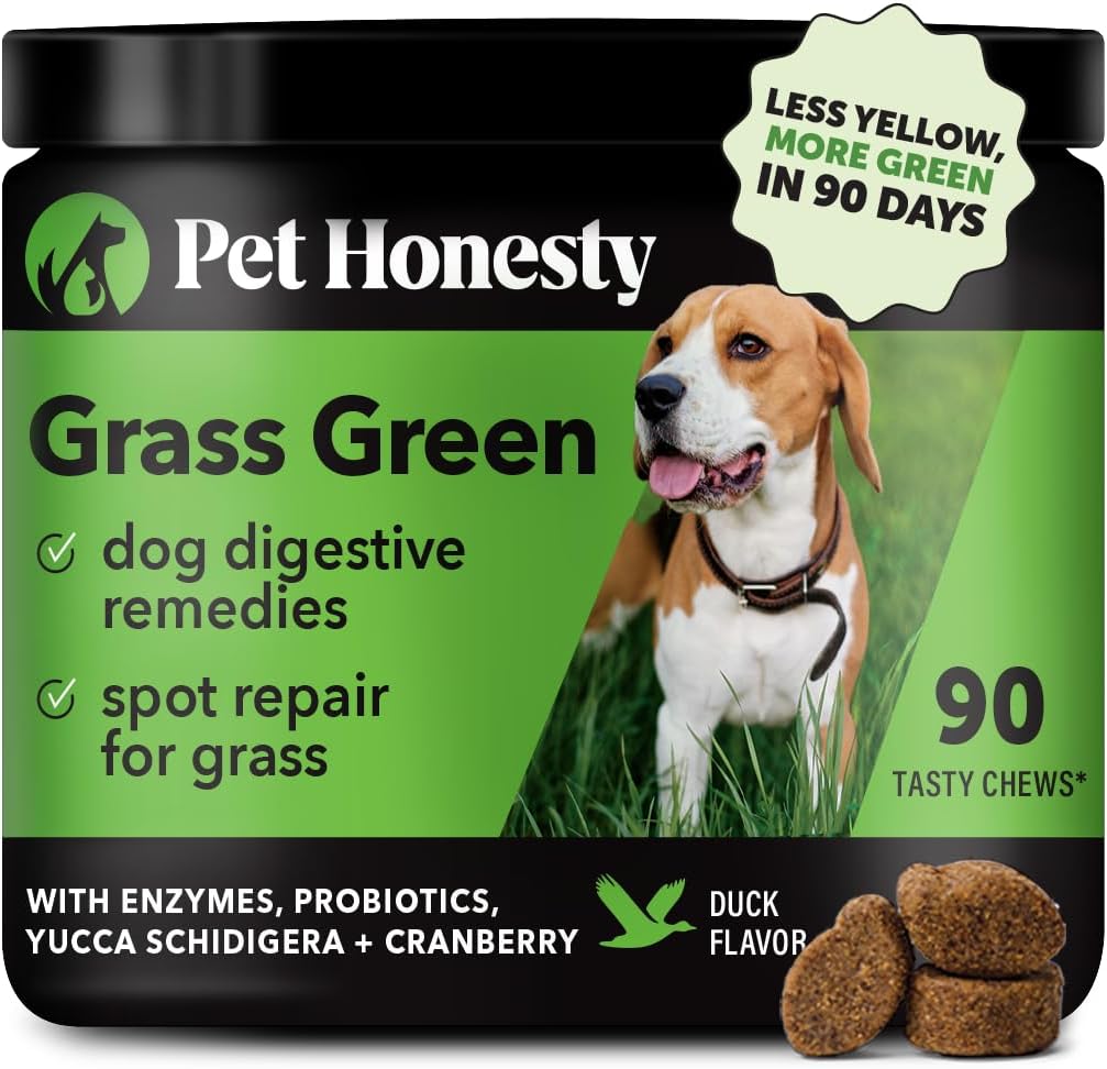 Dog Urine Neutralizer Chews for Grass Burn Spots with Probiotics and Cranberry - Pet Honesty Grass Green Spot Saver (90 ct)