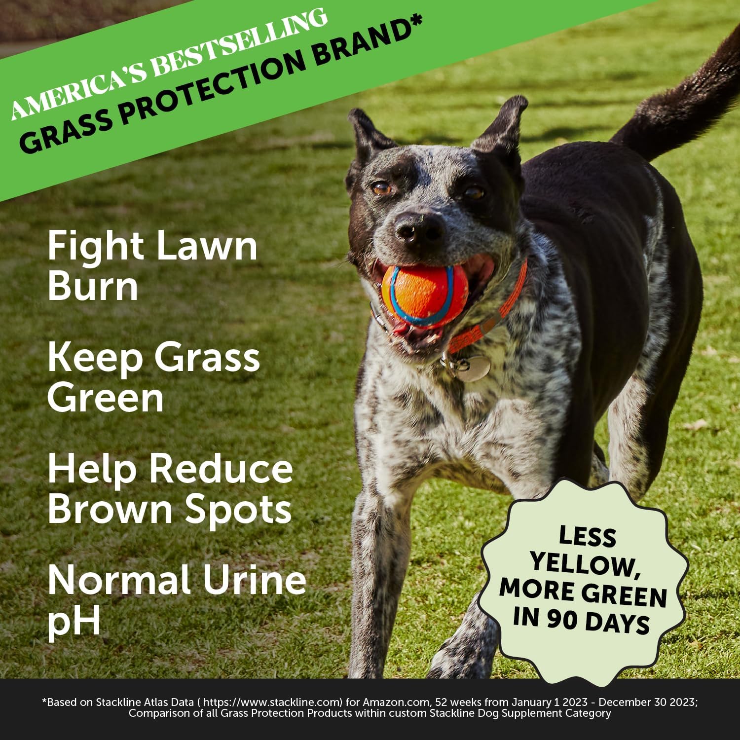 Dog Urine Neutralizer Chews for Grass Burn Spots with Probiotics and Cranberry - Pet Honesty Grass Green Spot Saver (90 ct)