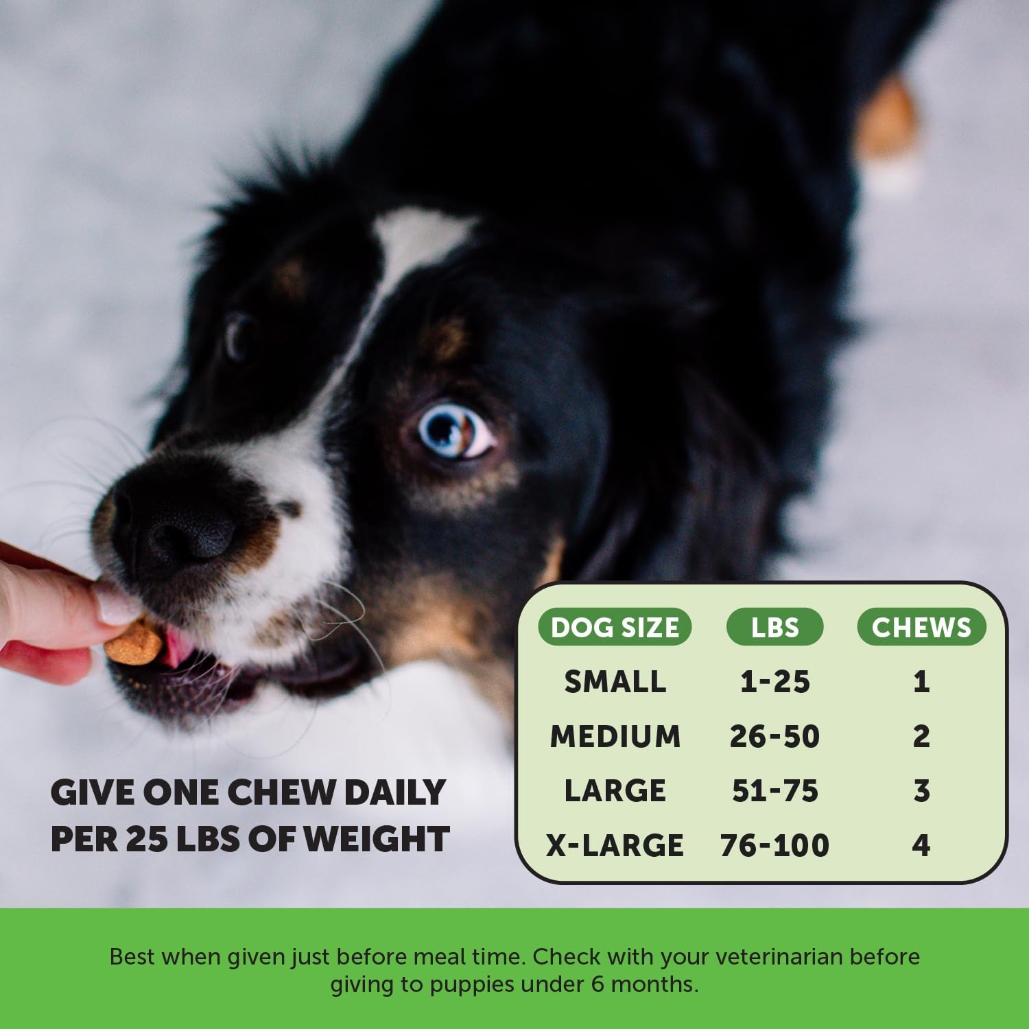 Dog Urine Neutralizer Chews for Grass Burn Spots with Probiotics and Cranberry - Pet Honesty Grass Green Spot Saver (90 ct)