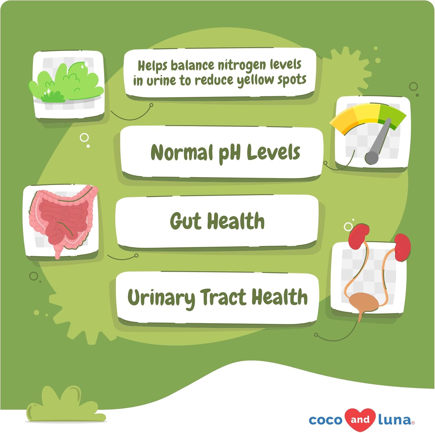 Dog Urine Neutralizer Soft Chews for Lawn - Grass Burn Spot Saver with Canine Enzymes, Probiotics, and Cranberry - Coco and Luna