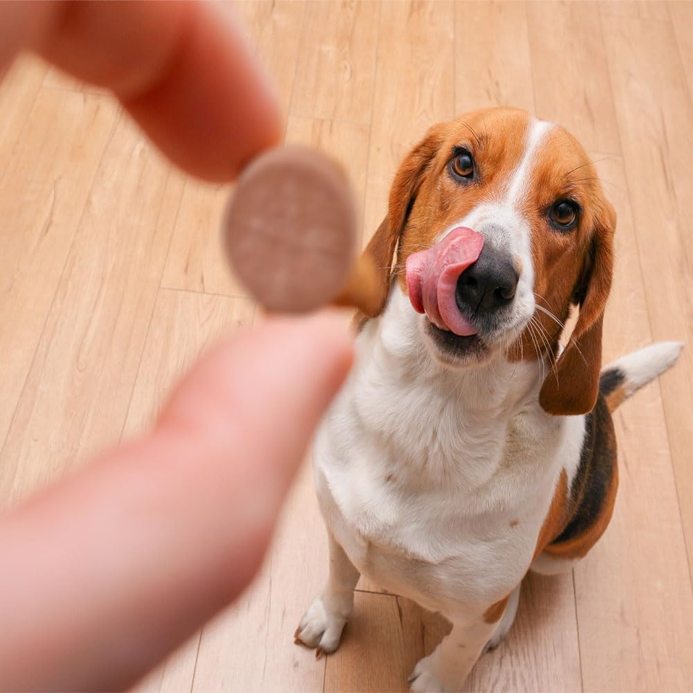Dog UTI Remedy: K-Plus Potassium Citrate & Cranberry Supplement - Supports Bladder Health - 200 Chewable Tablets for All Breeds