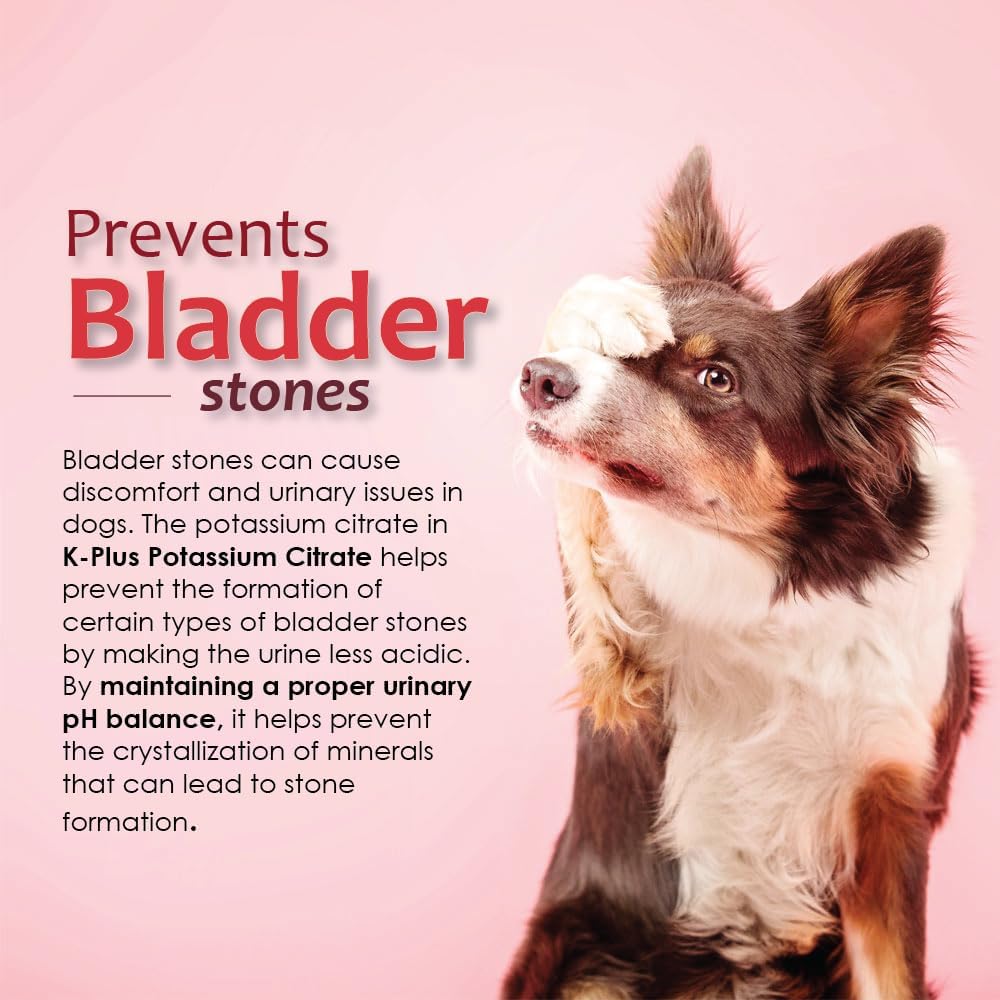 Dog UTI Remedy: K-Plus Potassium Citrate & Cranberry Supplement - Supports Bladder Health - 200 Chewable Tablets for All Breeds