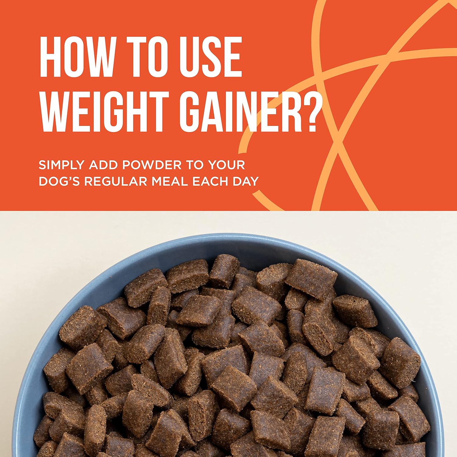 Dog Weight Gainer: High Calorie Protein Powder for Canine Muscle Building - 90 Servings of Pet Care Sciences Weight Gain Supplements