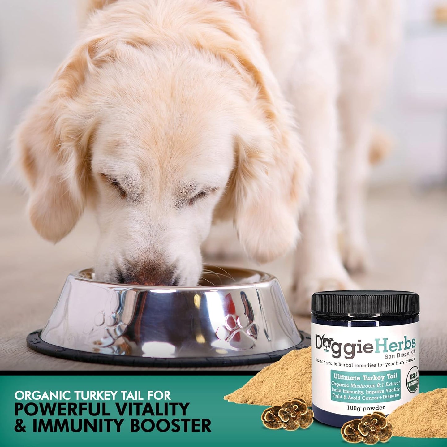 Doggie Herbs Turkey Tail Extract 8:1 - 100g with 389mg Beta Glucan, High Polysaccharides