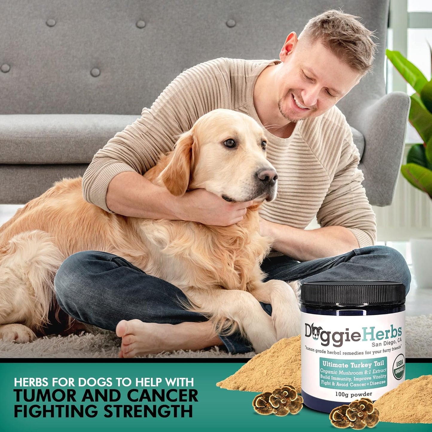 Doggie Herbs Turkey Tail Extract 8:1 - 100g with 389mg Beta Glucan, High Polysaccharides