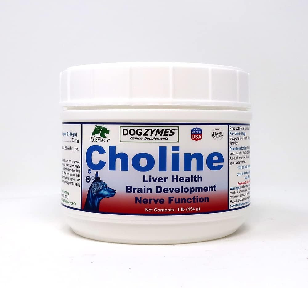 Dogzymes Choline Supplement for Dogs - Brain Function Support, Seizure & Stroke Recovery, Liver Cleansing - 1 lb