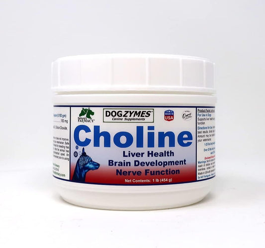 Dogzymes Choline Supplement for Dogs - Brain Function Support, Seizure & Stroke Recovery, Liver Cleansing - 1 lb