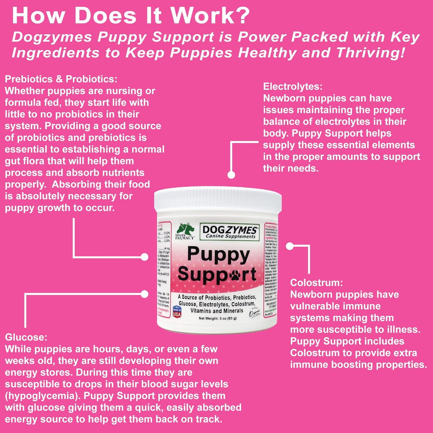 Dogzymes Puppy Support Formula with Probiotics, Prebiotics, Enzymes, Glucose, Electrolytes, Vitamins, and Minerals - 3 Ounce Mix for Fading Puppies
