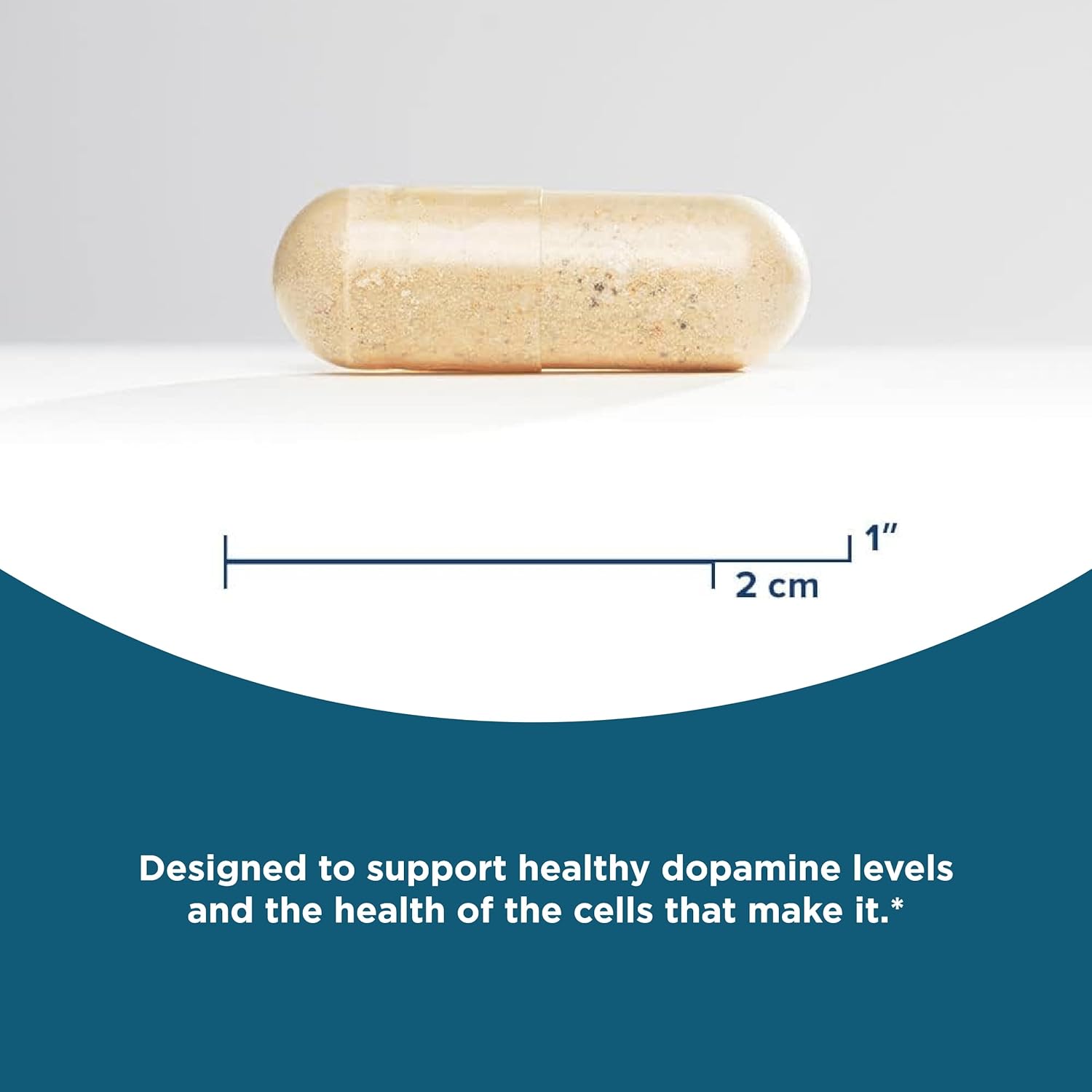 Dopamine Nutrient Capsules for Energy and Antioxidant Support - Vegetarian Formula - 60 Count